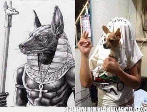 Anubis,chihuahua,dios,egipcio,egipto,perro,pobre